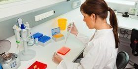 analizando analizando