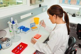 analizando analizando