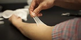 piel artificial01 piel artificial01