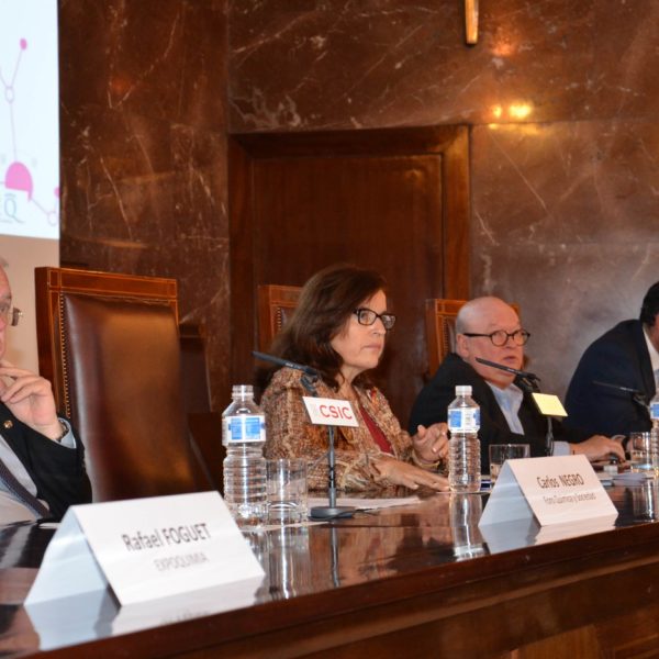 María Luisa Castaño, Directora General de Innovación y Competitividad, MINECO, clausuró el Día de la Química 2015