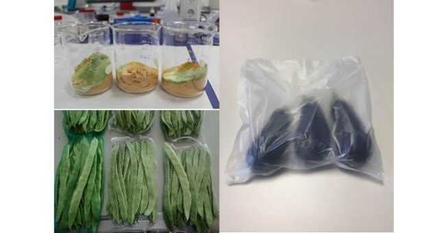 Films y mallas biodegradables para verduras obtenidos de residuos hortofrutícolas y productos enriquecidos con subproductos agrícolas