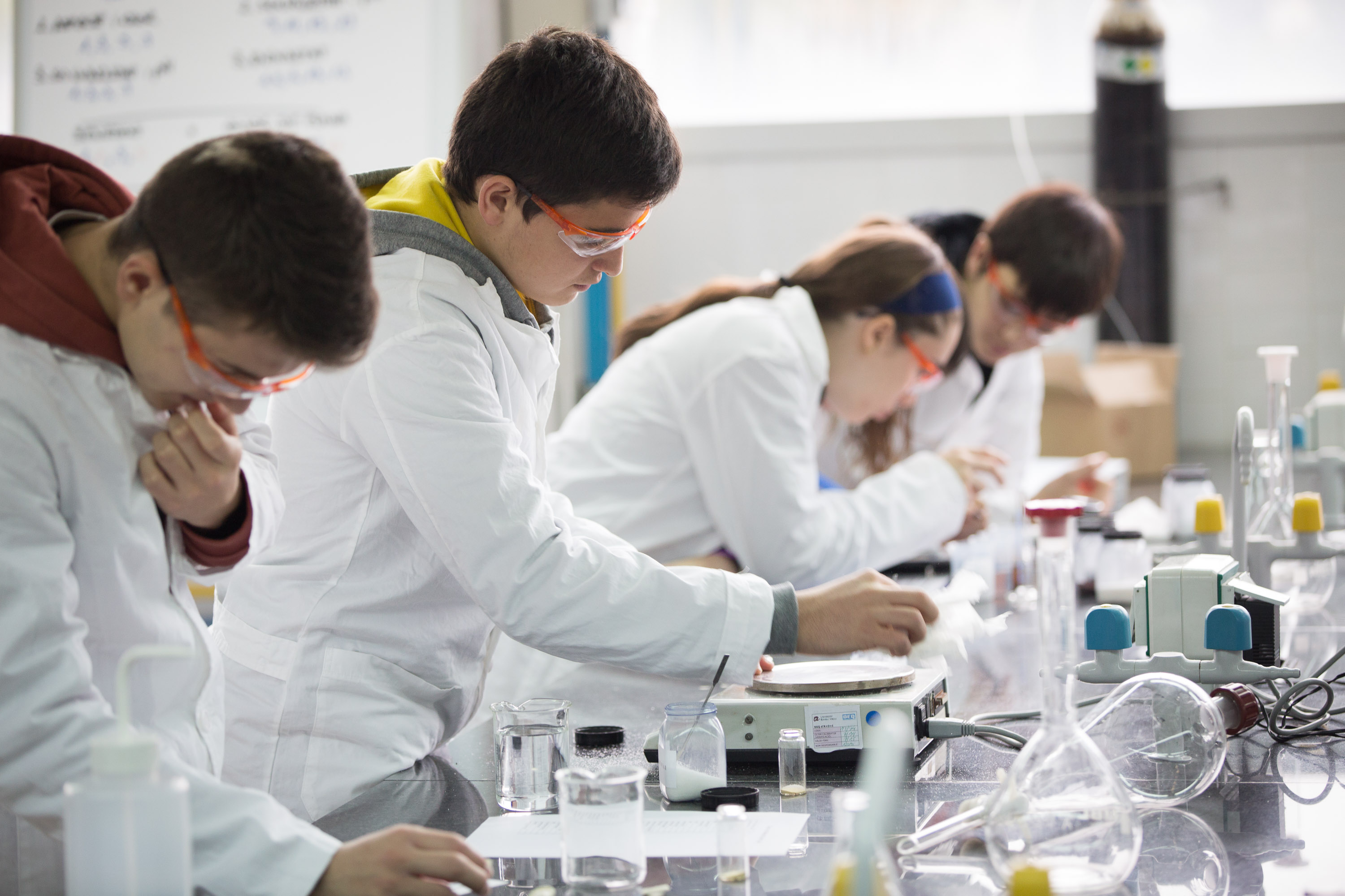 En marcha el Teens’ Lab de BASF un programa único de experimentos para