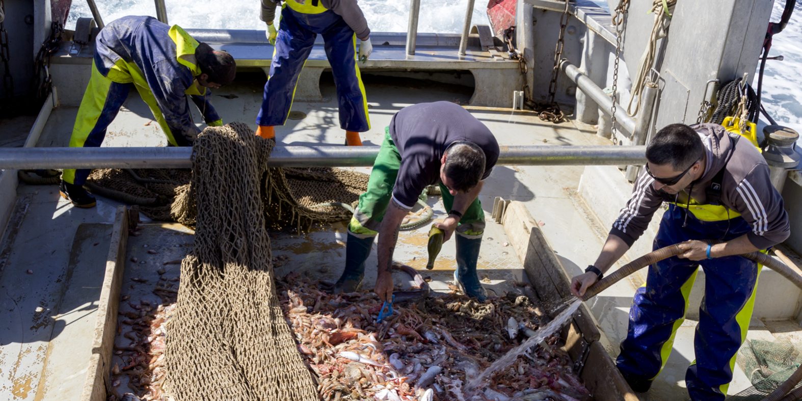 _MG_4520 20180515 Arrastrero Llana Gandia