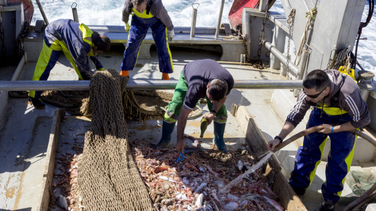 _MG_4520 20180515 Arrastrero Llana Gandia