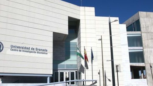 grupo-12_ugranadarecortada-XxXx80