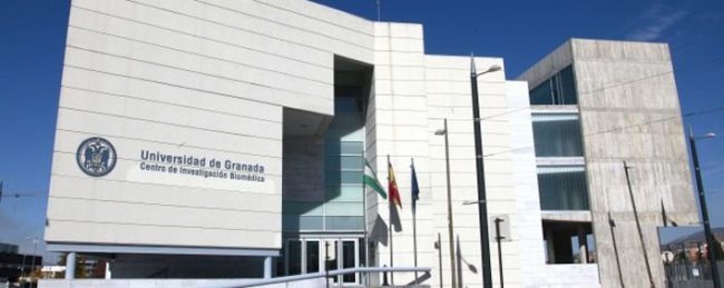 grupo-12_ugranadarecortada-XxXx80