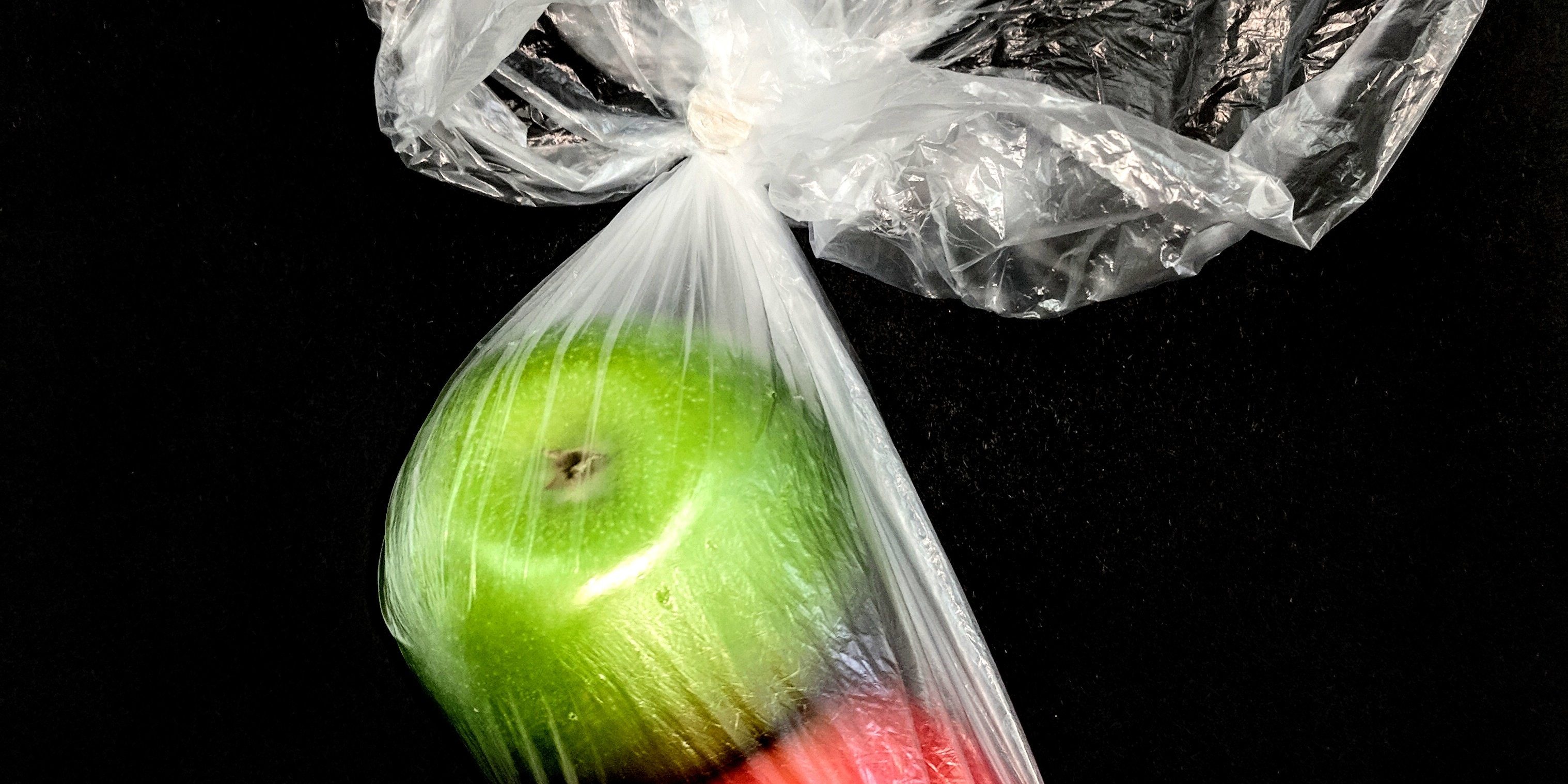 sophia-marston-1405679-unsplash