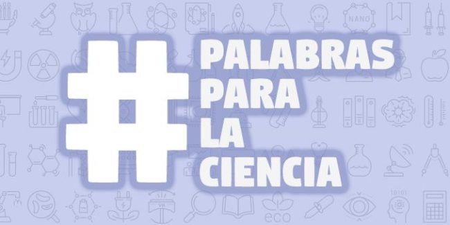 palabras-678_0