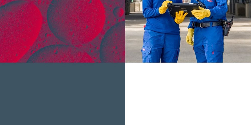 Portada Informe Público Dow 2018