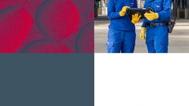 Portada Informe Público Dow 2018