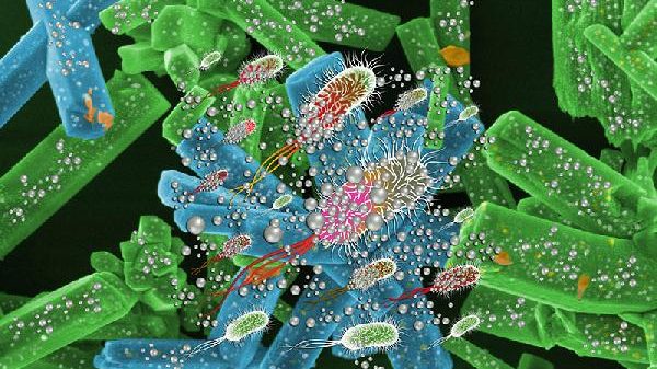 RUVID UJI ataque_bacterias