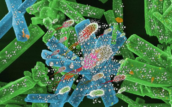 RUVID UJI ataque_bacterias