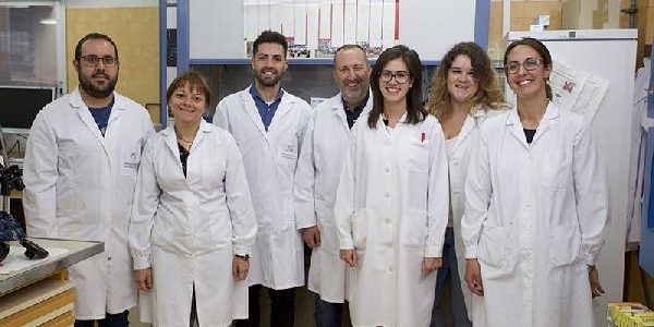 RUVID UA 1 PROYECTO BARBARA 2019 899