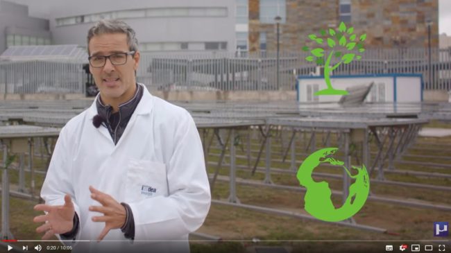UniQoss Energía