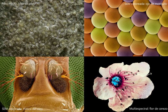 Imagen Cientifica 2