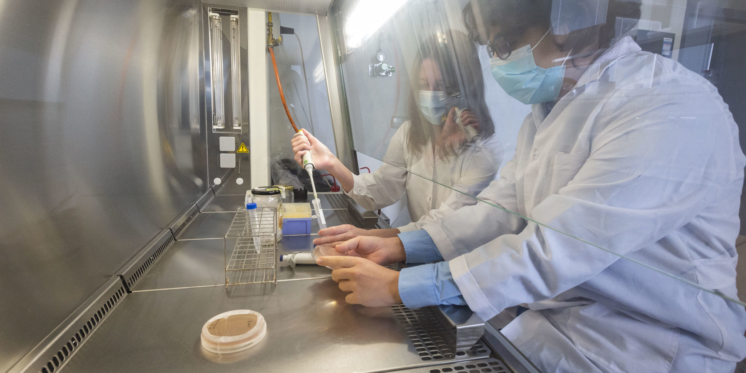 Patent_Biomolecules_20DLL24