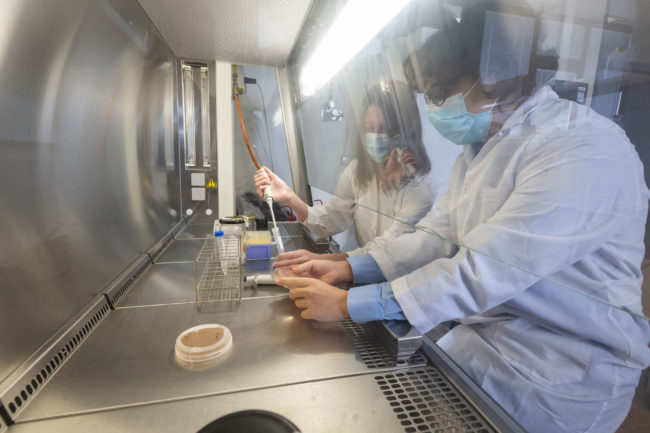 Patent_Biomolecules_20DLL24