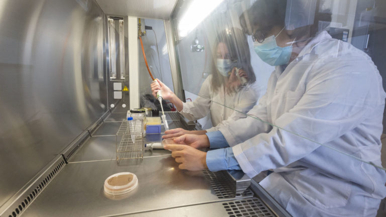 Patent_Biomolecules_20DLL24