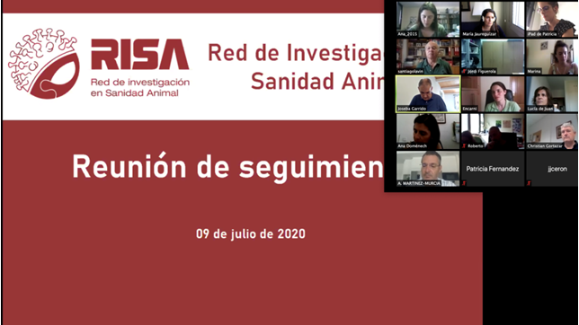RISA