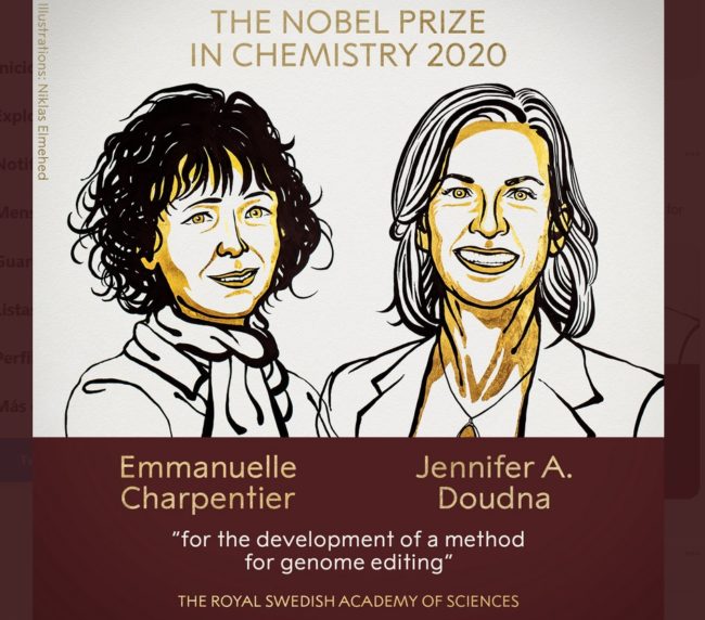 nobel 2