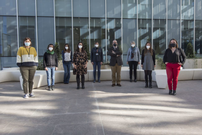 proyectos aerosoles proyecto aerosoles