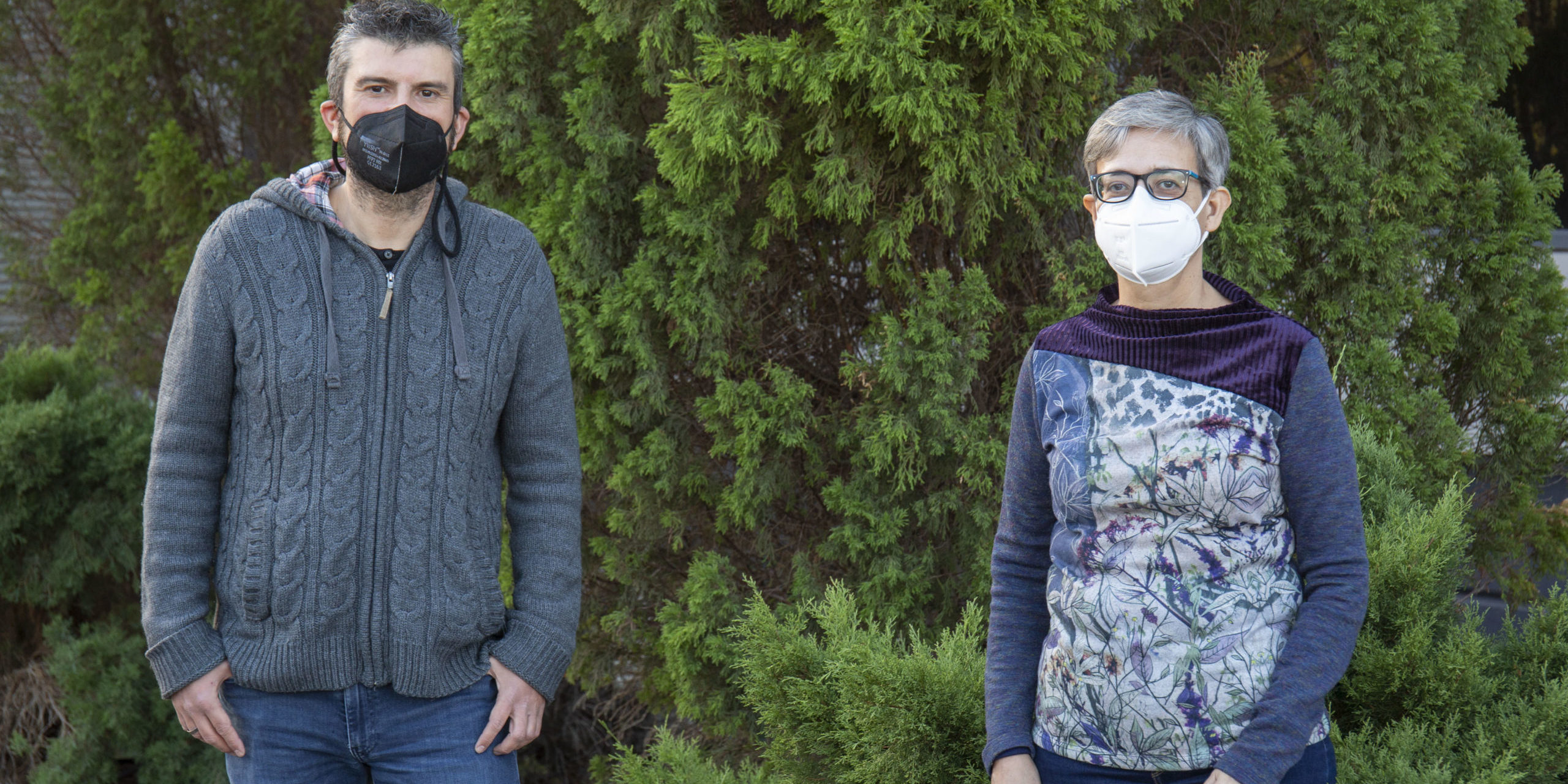 investigación perovskitas