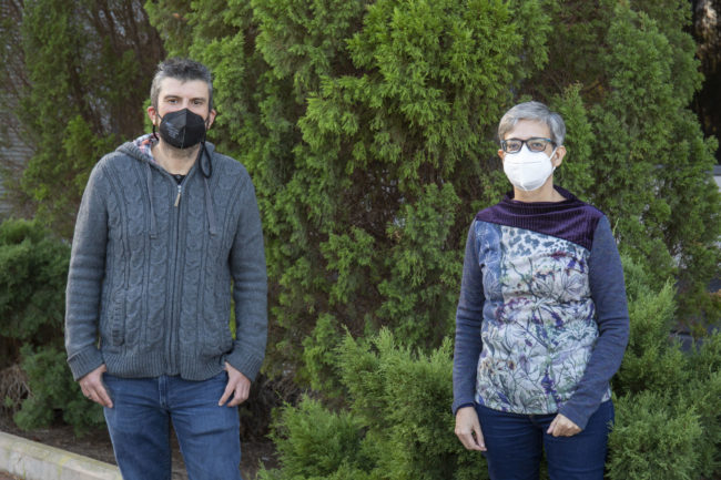 investigación perovskitas