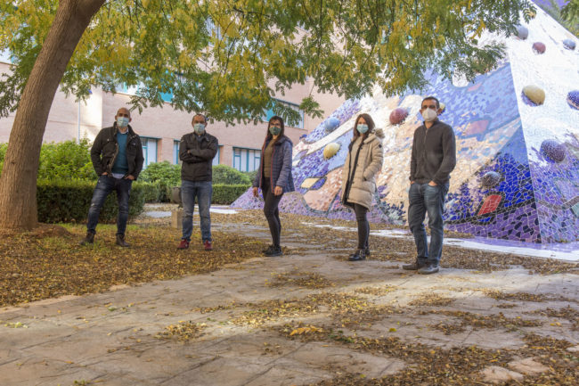 Investigadores de la UJI lideran un estudio internacional para diseñar moléculas capaces de bloquear la actividad del virus de la COVID-19