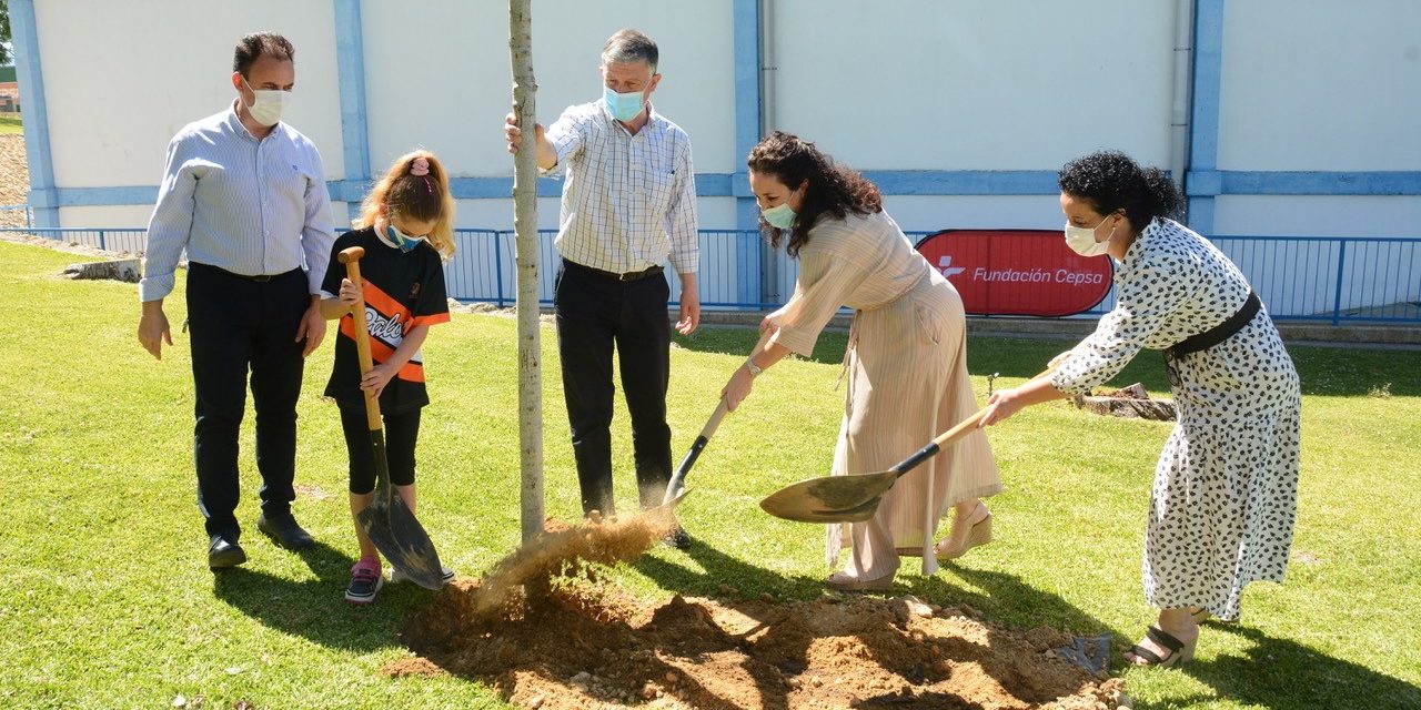 UnArbolCadaDia (002)