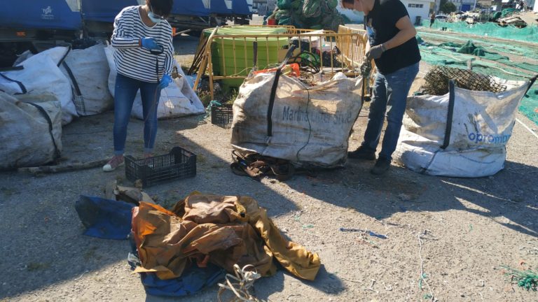 proyecto RepescaPlas