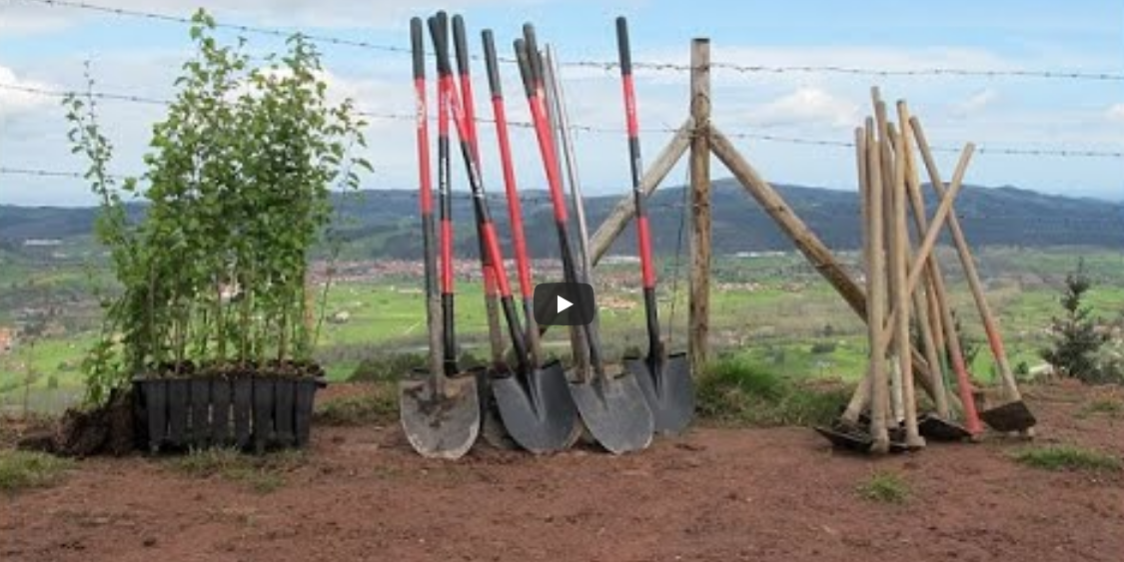 Proyecto de economía circular liderado por Plastics Europe y CIDEC de reforestación