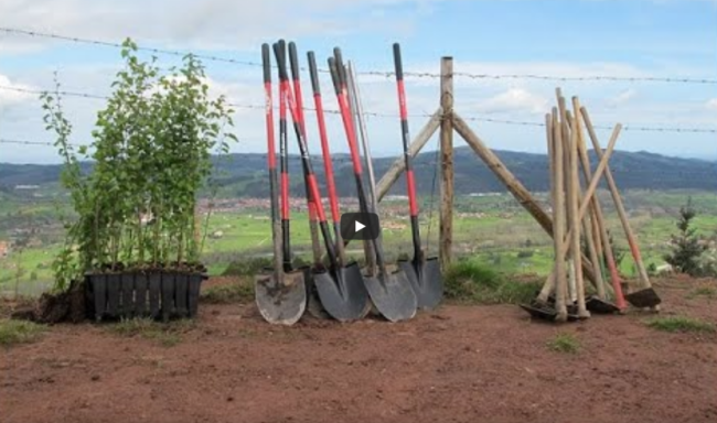 Proyecto de economía circular liderado por Plastics Europe y CIDEC de reforestación