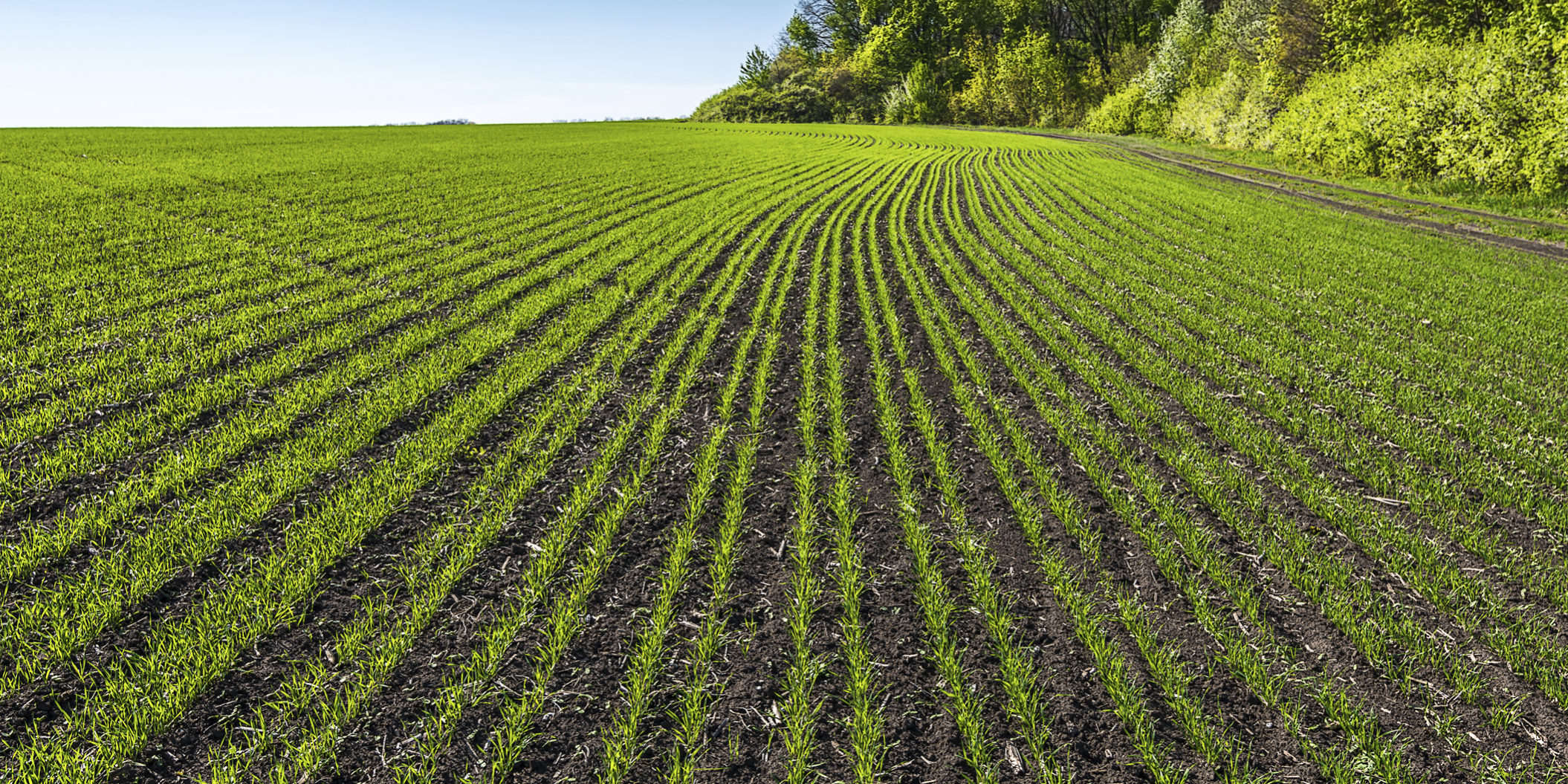 Lanzamiento Revycare -1