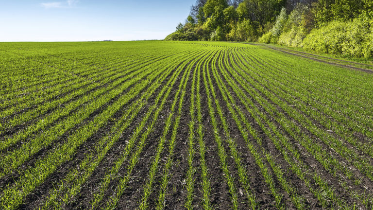 Lanzamiento Revycare -1