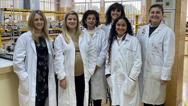 RUVID UA Equipo investigador