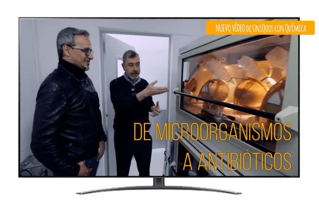 video-feique