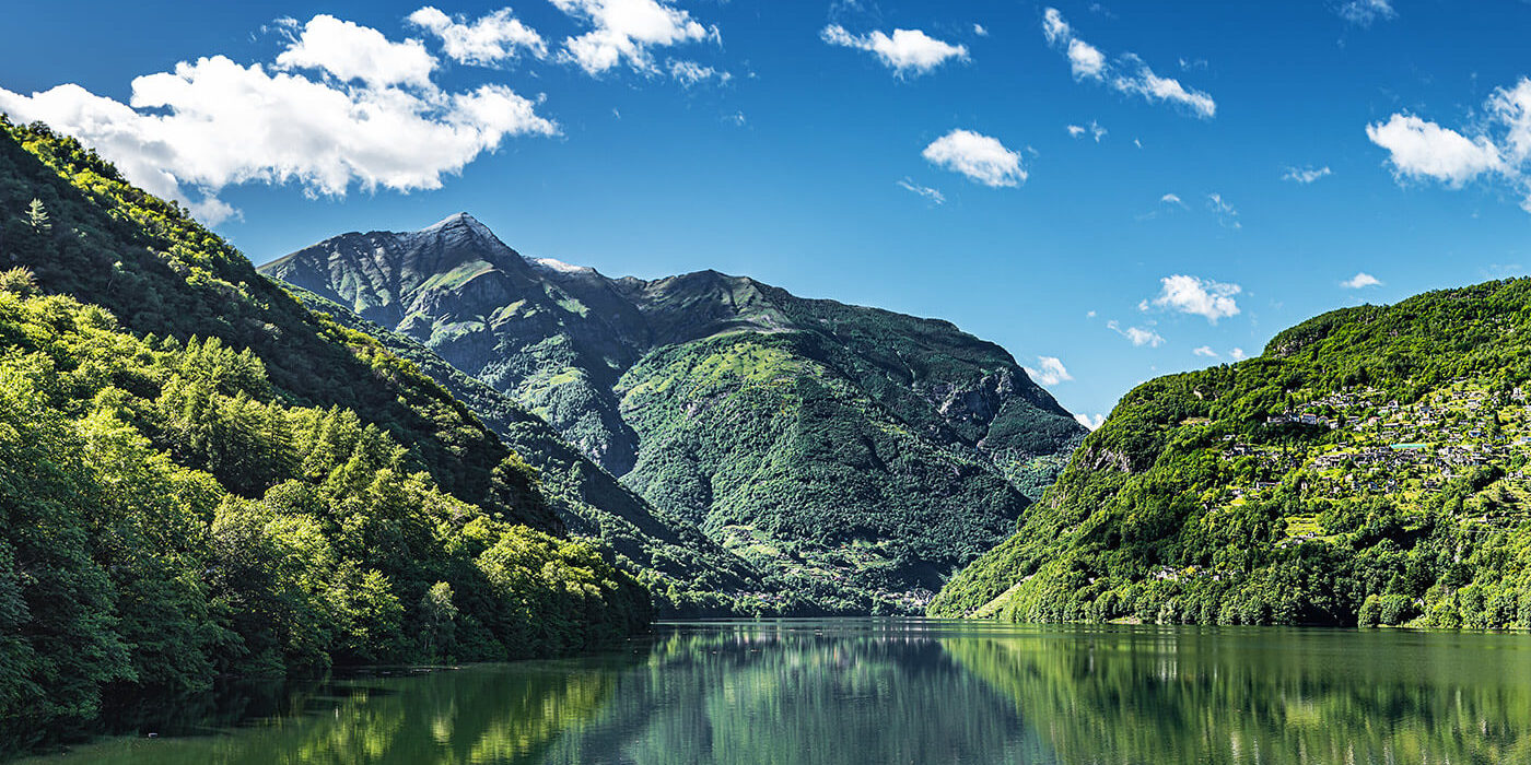 noticia-feique-medio-ambiente