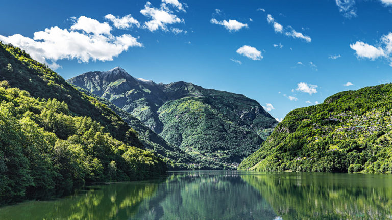 noticia-feique-medio-ambiente