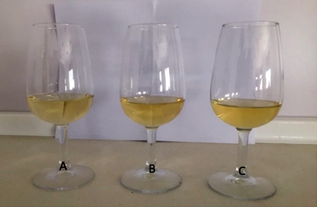 CM – Chardonnay CO2-SO2