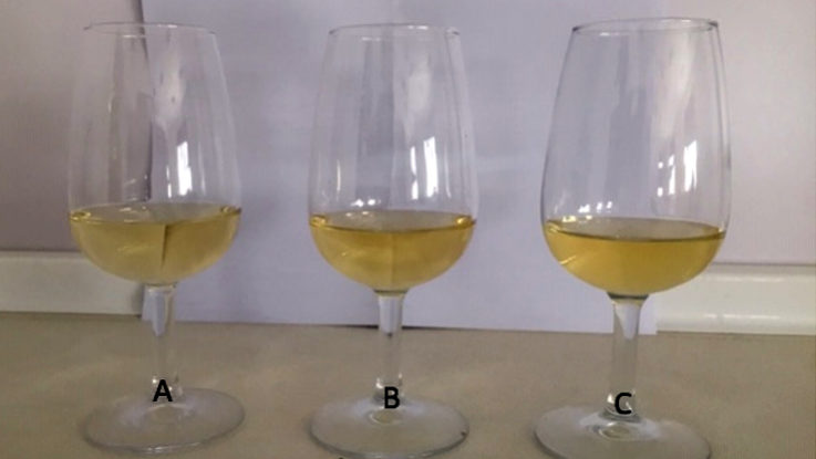 CM – Chardonnay CO2-SO2