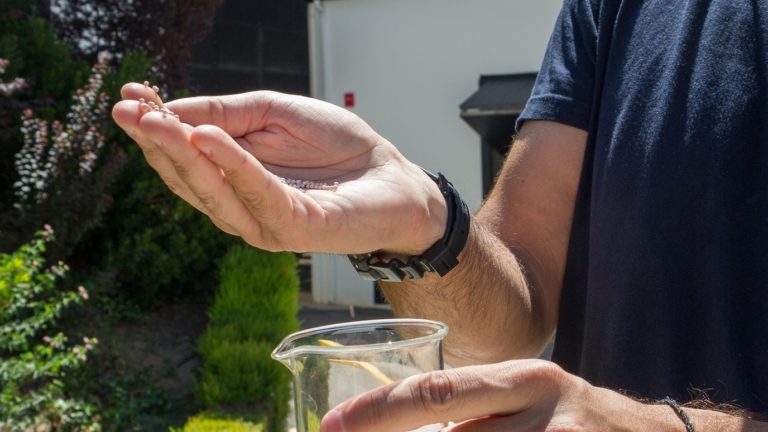 Proyecto TERRAX_AIMPLAS (002)