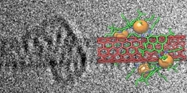 RUVID UJI Los metalociclos abrazan nanotubos de carbono