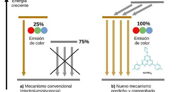 RUVID UA Esquema nota Nature