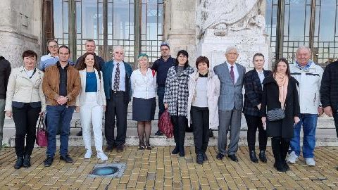 Reunión final NanoMed