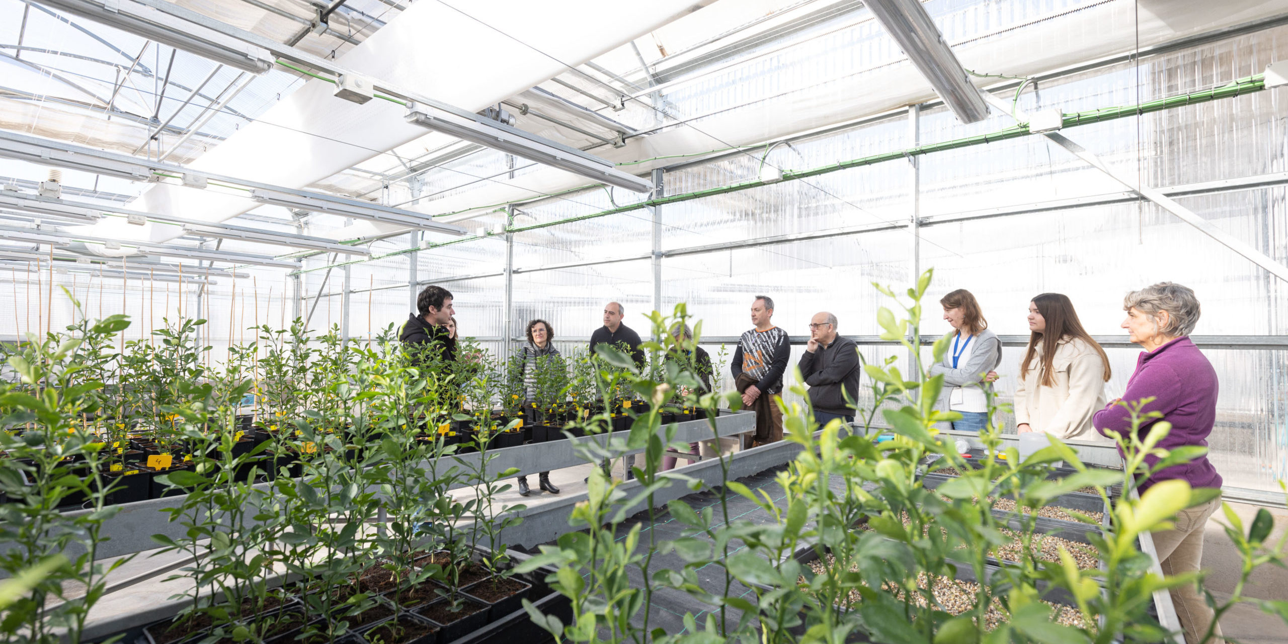 Visita_Diputación_Provincial_23DLL63