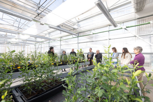 Visita_Diputación_Provincial_23DLL63