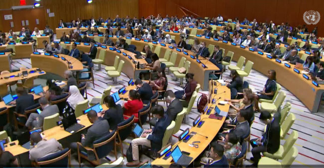 La Asamblea General de las Naciones Unidas ha decidido proclamar de 2024 a 2033 como la Década Internacional de las Ciencias para el Desarrollo Sostenible