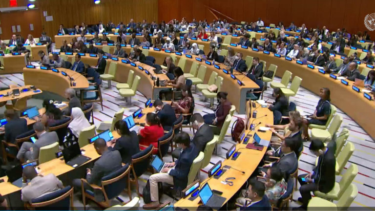 La Asamblea General de las Naciones Unidas ha decidido proclamar de 2024 a 2033 como la Década Internacional de las Ciencias para el Desarrollo Sostenible