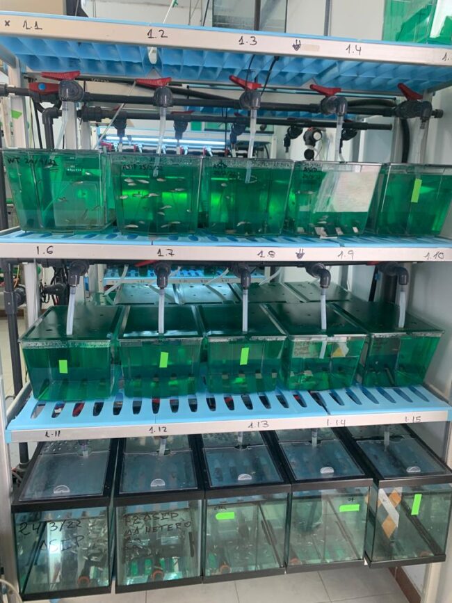 IMG-20231212-WA0012 (1)