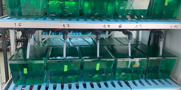 IMG-20231212-WA0012 (1)